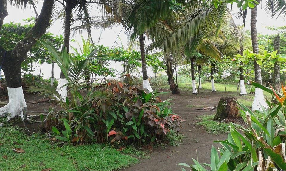Cabinas Balcon Del Mar Tortuguero Exterior photo
